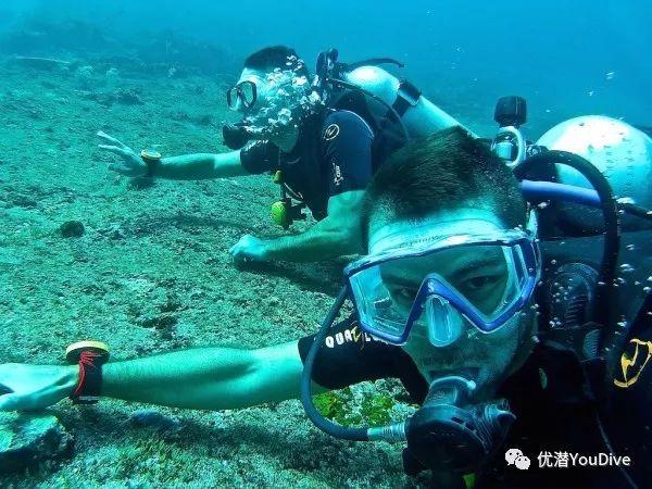 瑞典加入北约:土耳其议会大会拥有最终话语权